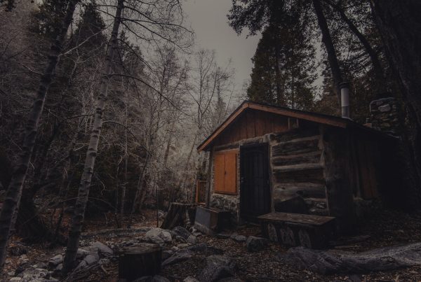 A cabin sitting in the middle of the woods.