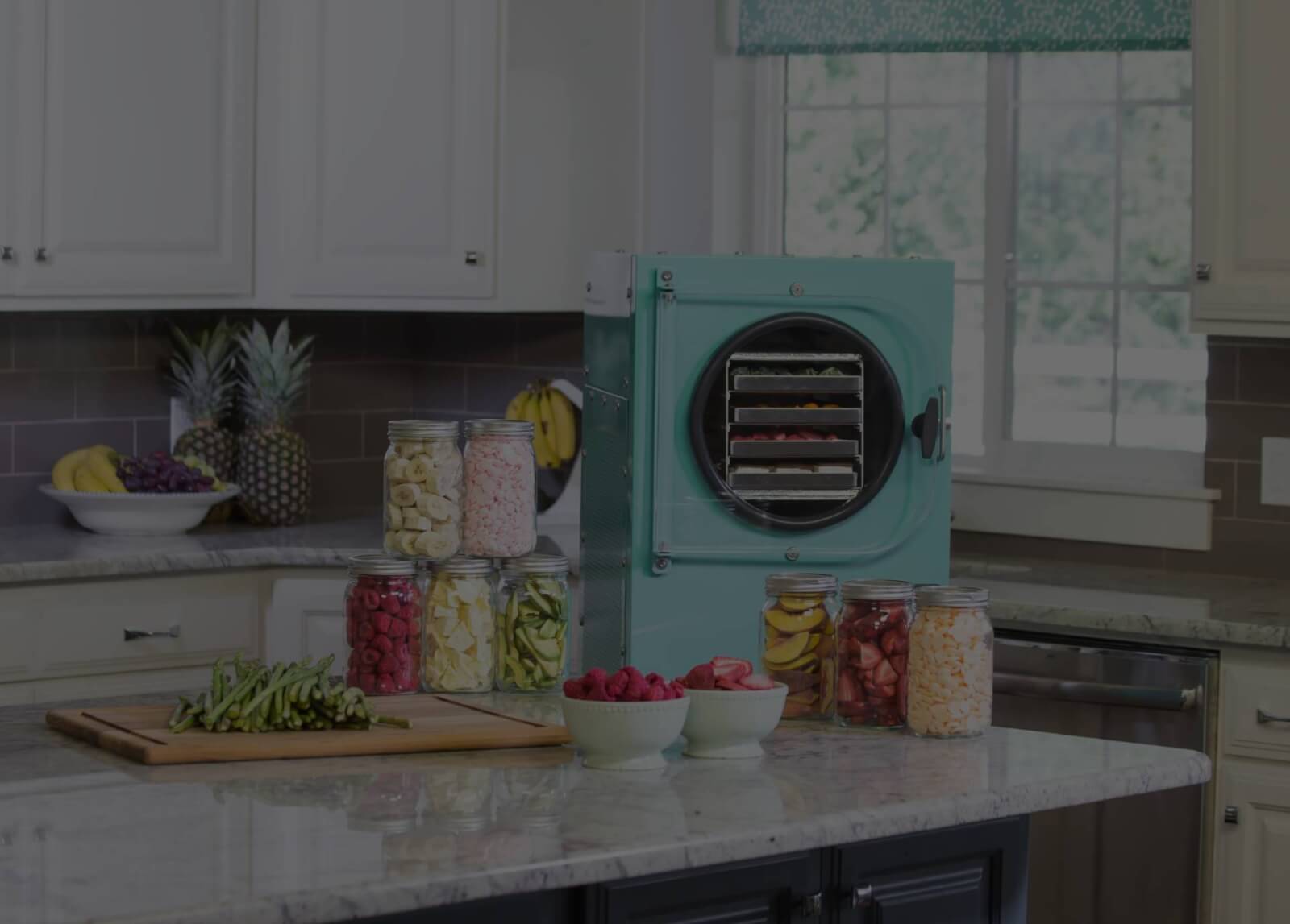 Home Dehydrator Vs. Home Freeze Dryer: Which is best for you?