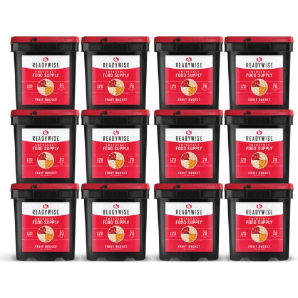 A set of ReadyWise (formerly Wise Food Storage) 1440 Serving Freeze-Dried Fruit Bundle (SHIPS IN 1-2 WEEKS)