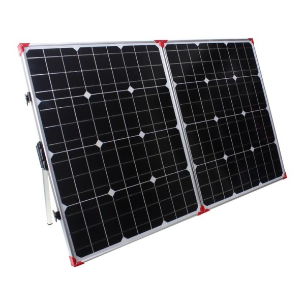 Two Lion Energy Lion 100W 12V Solar Panels on a white background.