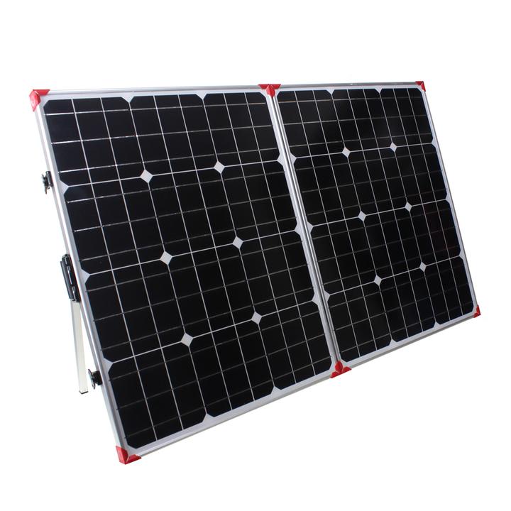 Two Lion Energy Lion 100W 12V Solar Panels on a white background.