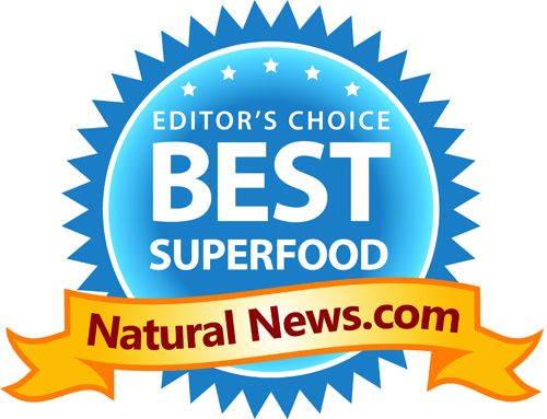 Editor's choice best Enerhealth Botanicals ENERFOOD ORGANIC VEGAN SUPERFOOD - (SHIPS IN 1-2 WEEKS).