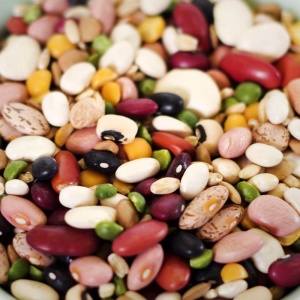 A bowl full of beans, peas, and other legumes is ideal for emergency food storage.
