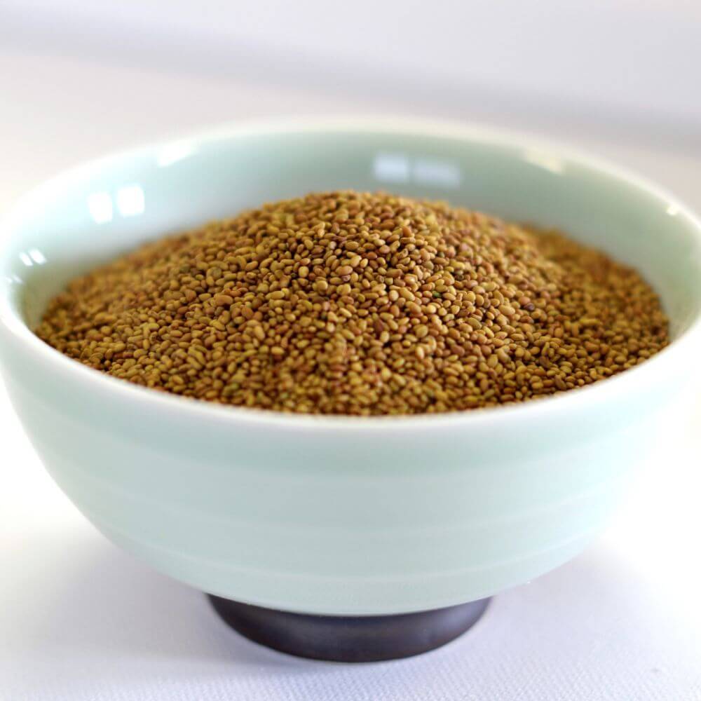 Fennel seeds for emergency food storage in a bowl on a white surface.