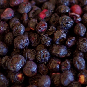 A close up of dried blueberries in a bowl.