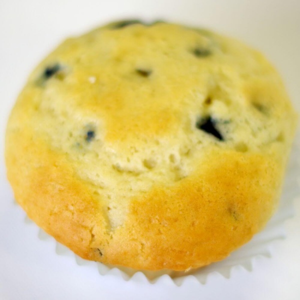 A blueberry muffin on a white plate.
