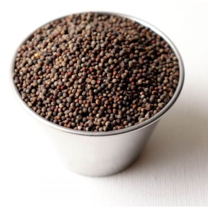 Sesame seeds in a cup on a white surface.