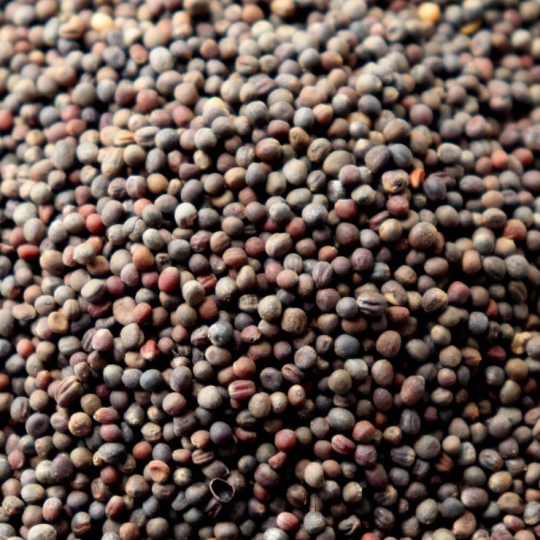 A pile of black sesame seeds.