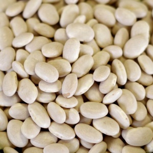 White beans in a bowl.