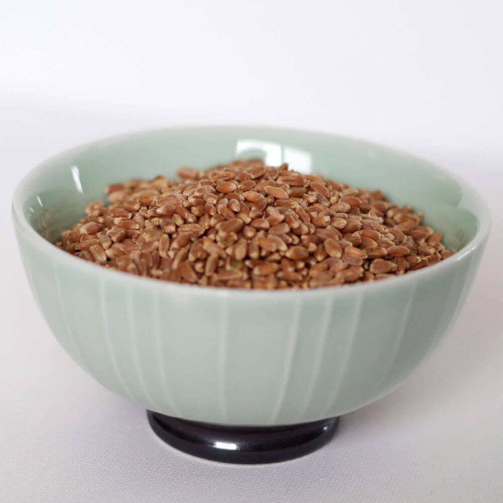 Buckwheat groats in a bowl on a white surface.