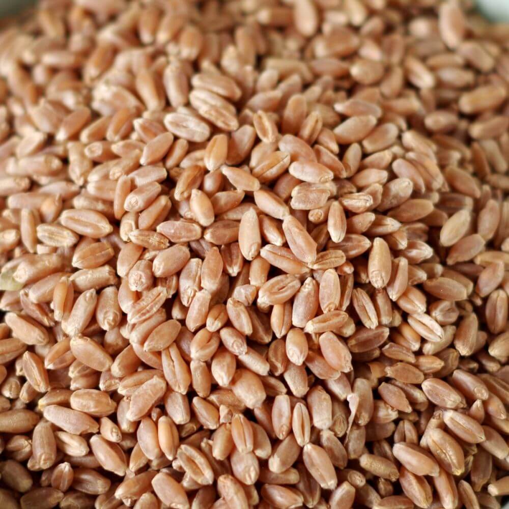 A pile of brown rice in a bowl.