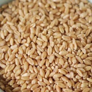 A close up of brown rice in a bowl.