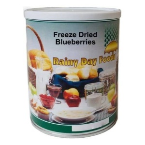 Freeze-Dried Whole Blueberries - Rainy Day Foods.