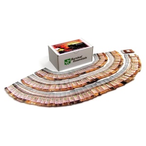 A *Survival Essentials Seeds Premium Heirloom Seeds Box - 100 Varieties - Over 17,000 Seeds - (SHIPS IN 1-2 WEEKS) with a stack of coins on top of it.