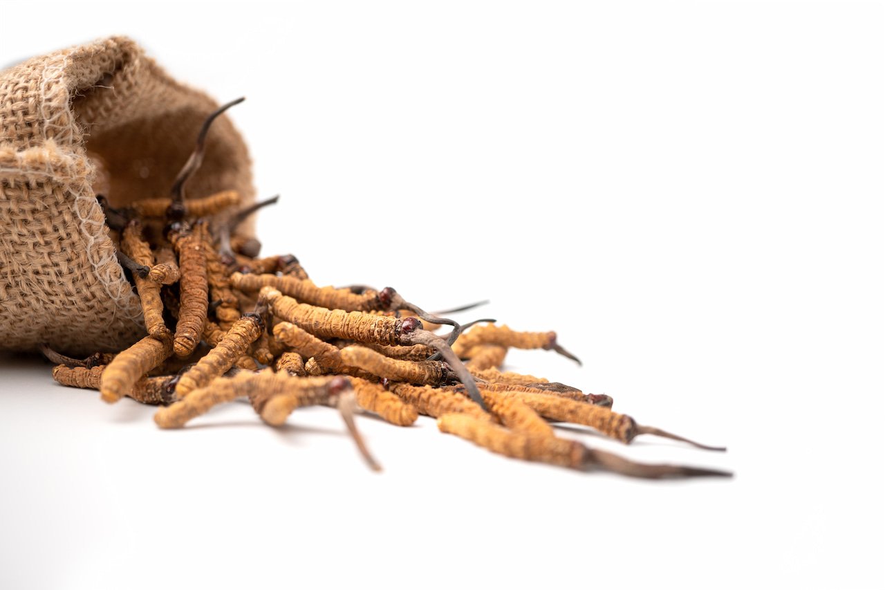 A sack full of organic dried worms on a white background.