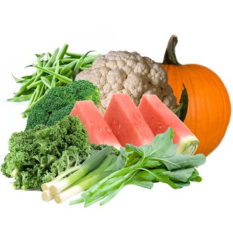 Heaven's Harvest Heirloom Superfoods Seed Kit - 9 Varieties - (SHIPS IN 1-2 WEEKS) featuring watermelon, pumpkin, and other vegetables.