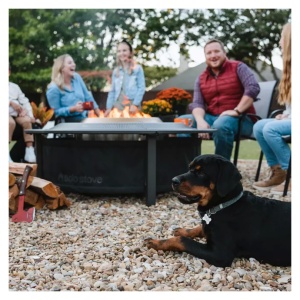 A group of people and a dog sitting around a portable fire pit.