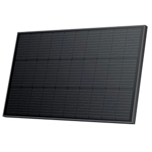 A black solar panel, EcoFlow 100W Monocrystalline Rigid Solar Panel, on a white background.