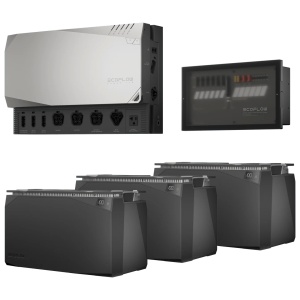 A set of EcoFlow battery chargers and inverters on a white background.