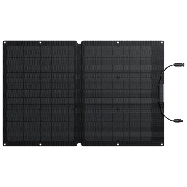 A black EcoFlow 60W portable solar panel on a white background.