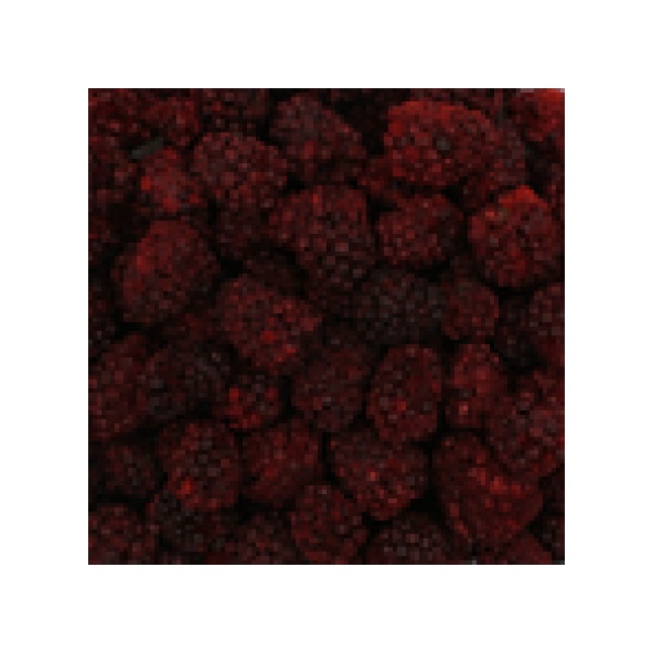 Close up blackberries, Harmony House Freeze Dried Blackberries (4 oz.)