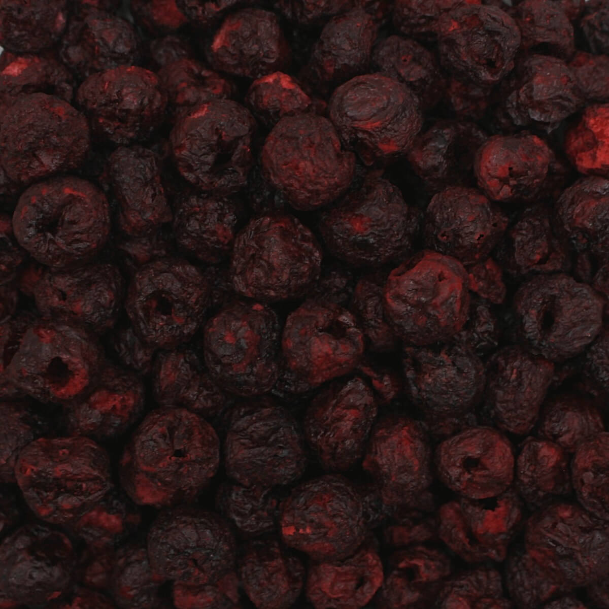 A close up image of red berries.