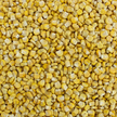 A close up image of Harmony House Freeze Dried Super Sweet Corn.
