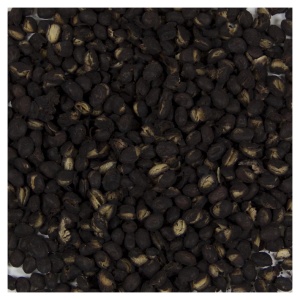 A pile of black seeds on a white surface, Harmony House Black Beans.