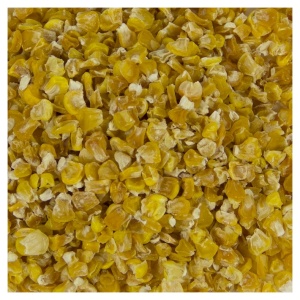 A pile of yellow corn from Harmony House Dried Corn (20 lbs) on a white surface.