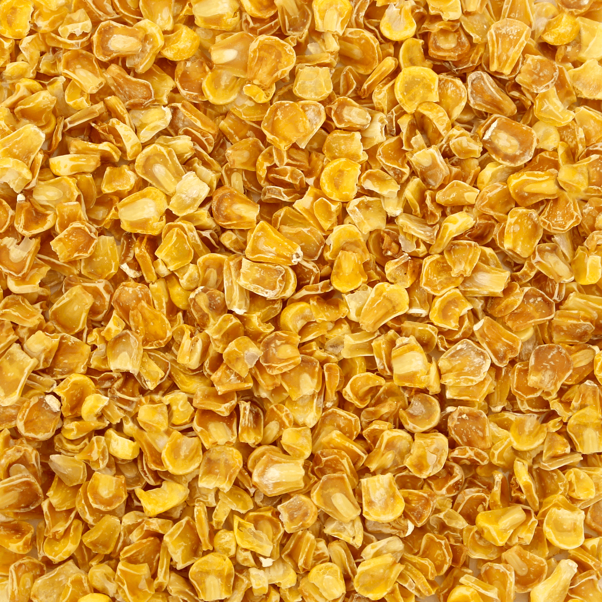 A close up of a pile of yellow corn from Harmony House Dried Corn (12 oz).