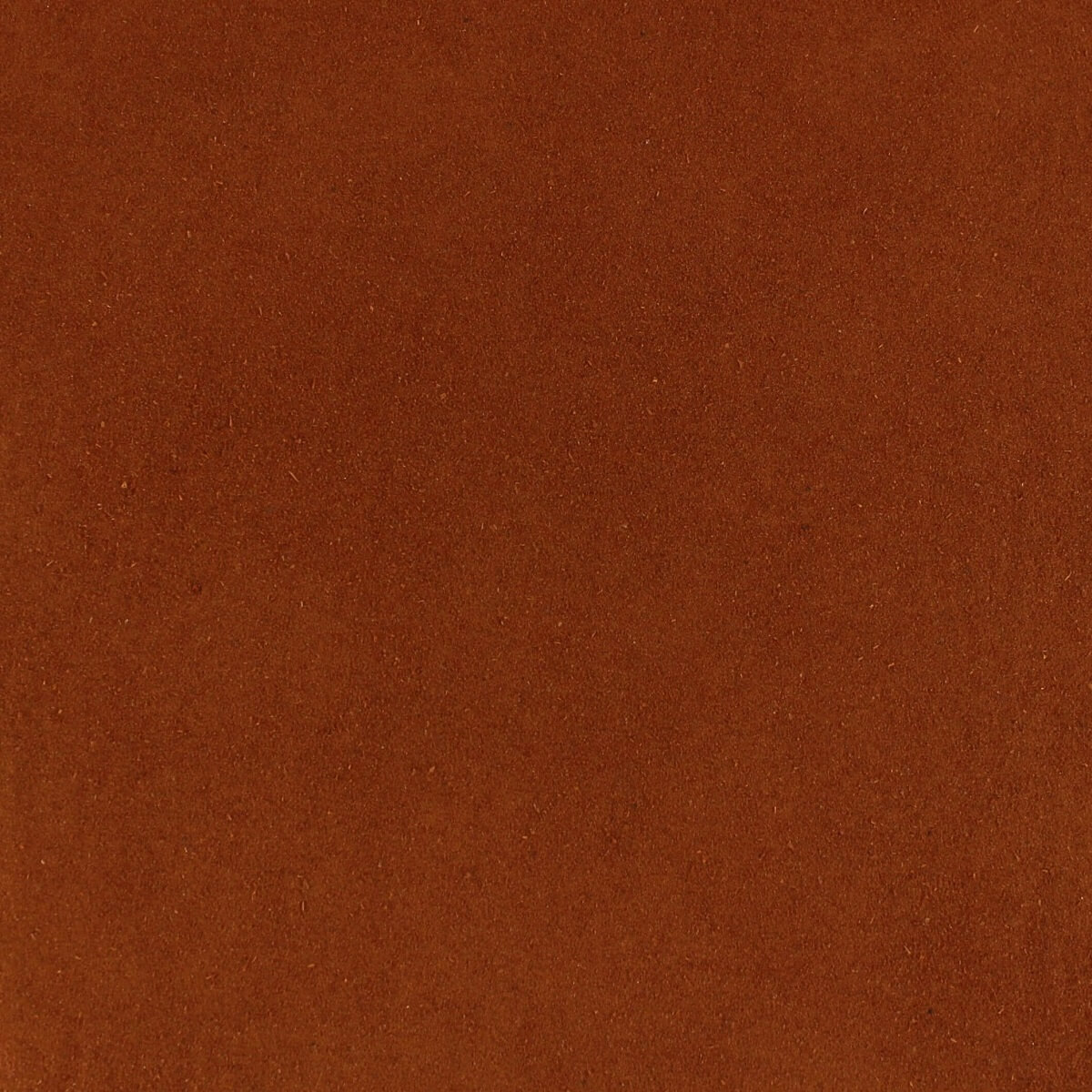 A close up image of a brown background featuring Harmony House Tomato Powder (30 lbs).