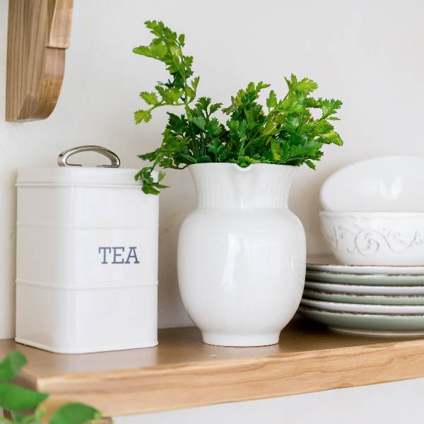 A complete guide on the right way to store tea in a white tea tin on a shelf with dishes and a plant.
